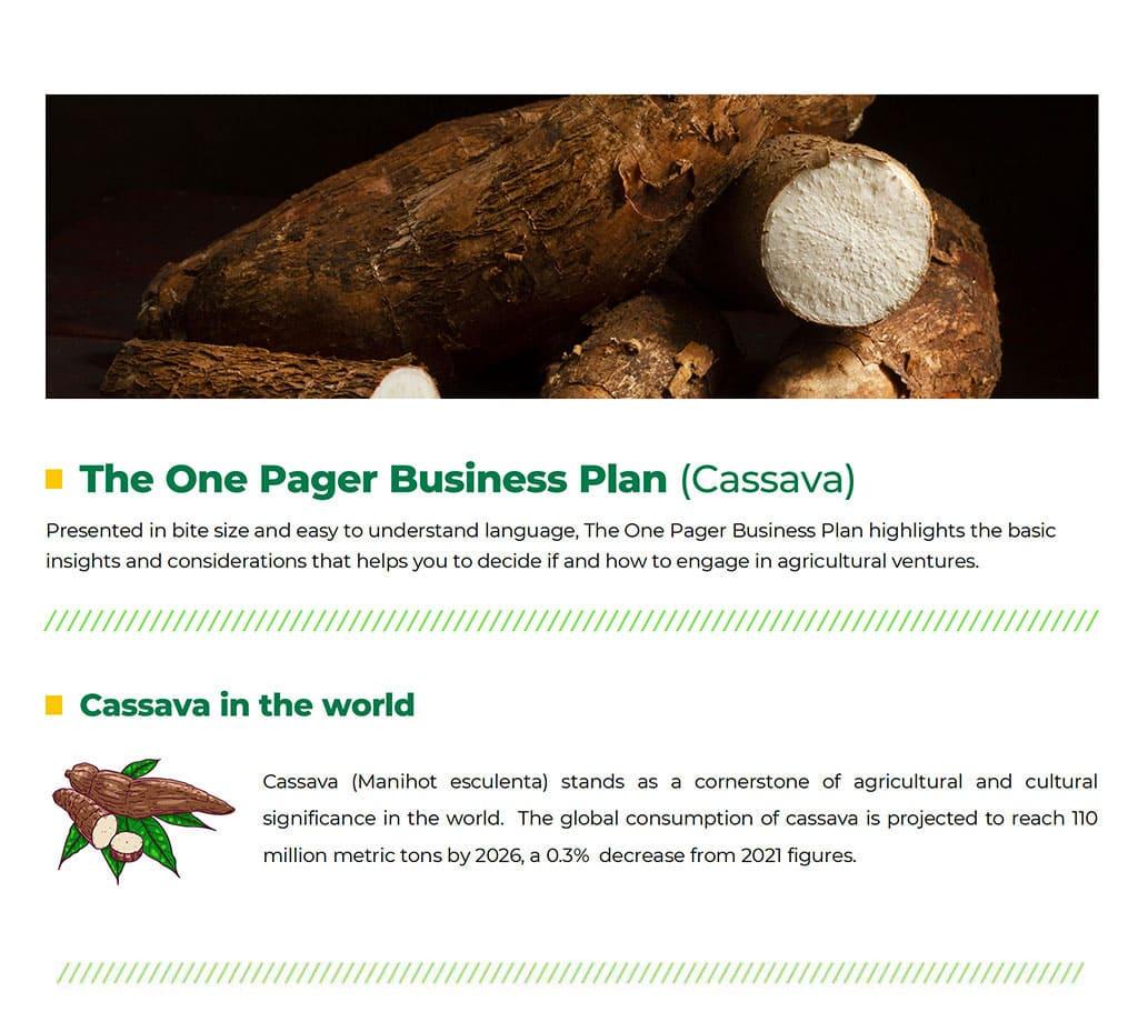 Cassava